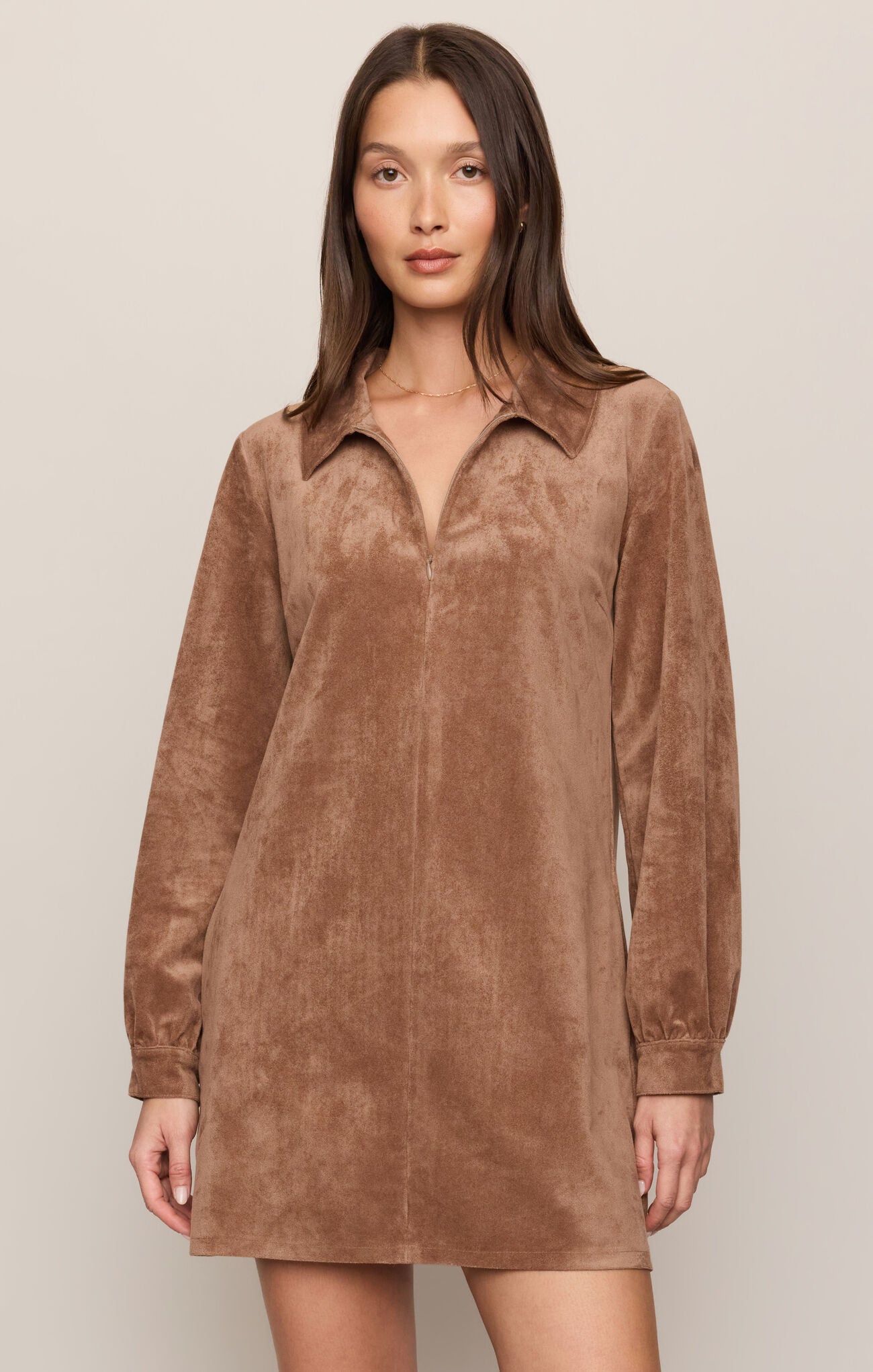 Z supply Connie Mini Dress