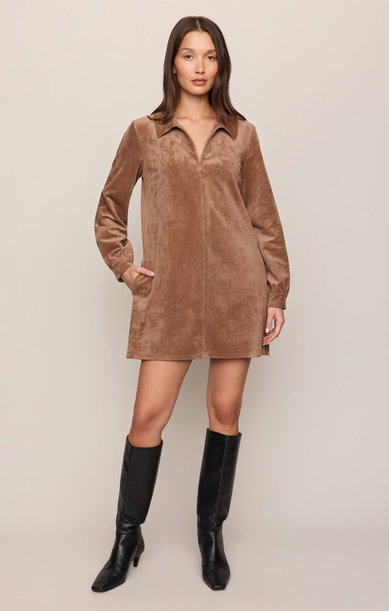 Z supply Connie Mini Dress
