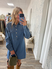 Z Supply Lucie Denim Shirt Dress